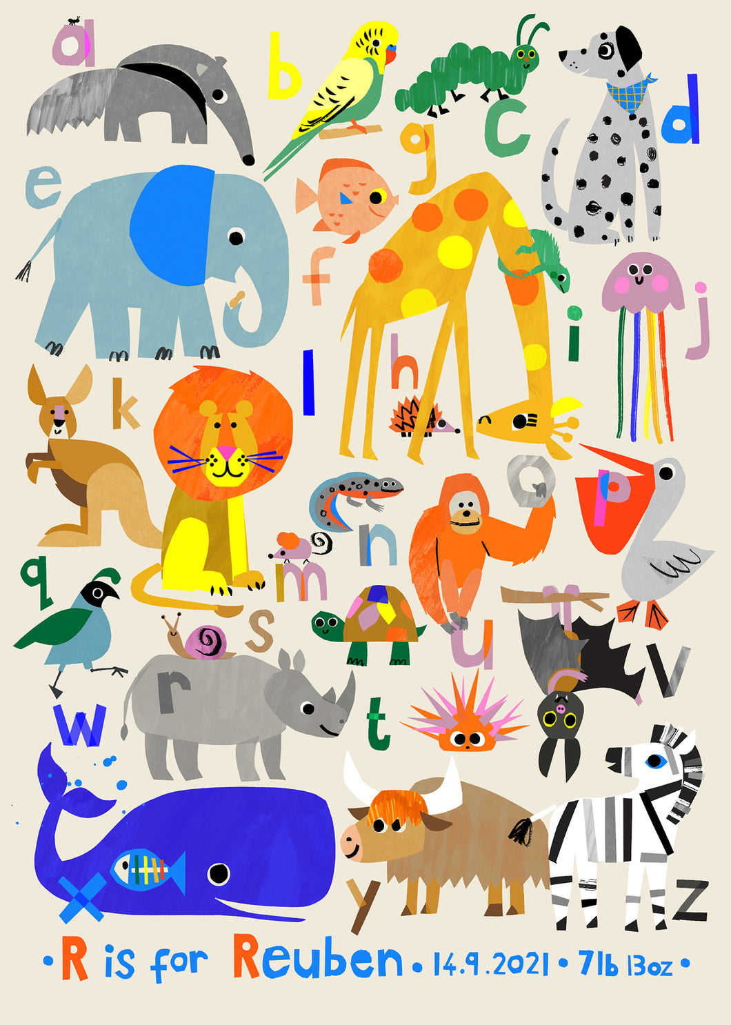A NEW Animal Alphabet PERSONALISED
